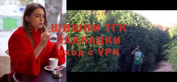 МДПВ Дмитров