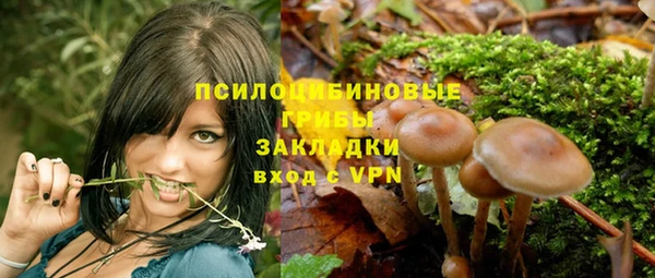 не бодяженный Дмитровск
