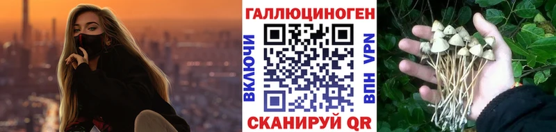 Купить где  Карачев  Псилоцибиновые грибы прущие грибы 